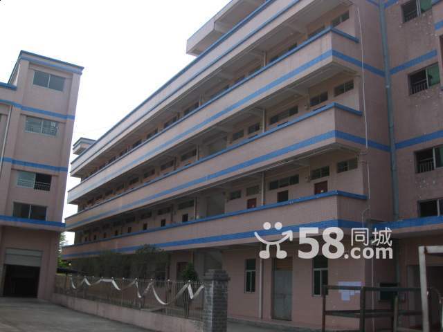 大朗廠房租售占地300畝